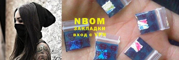 индика Богданович
