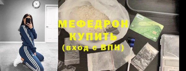 индика Богданович