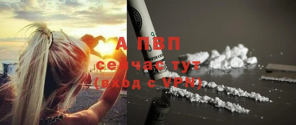 индика Богданович