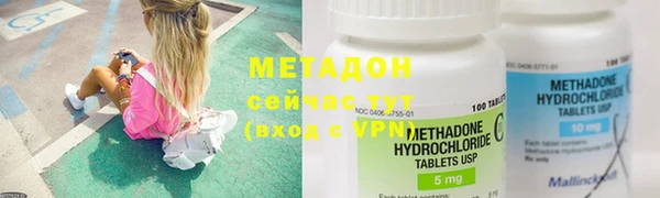 индика Богданович