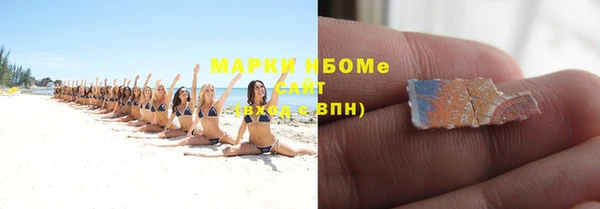 индика Богданович