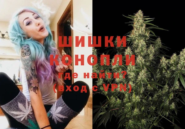 индика Богданович