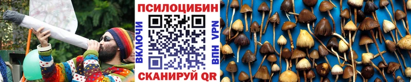 Псилоцибиновые грибы мухоморы  Кущёвская 